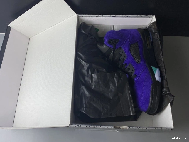 Retro Jordan 5 Air Alternate 136027-500 Grape 0811